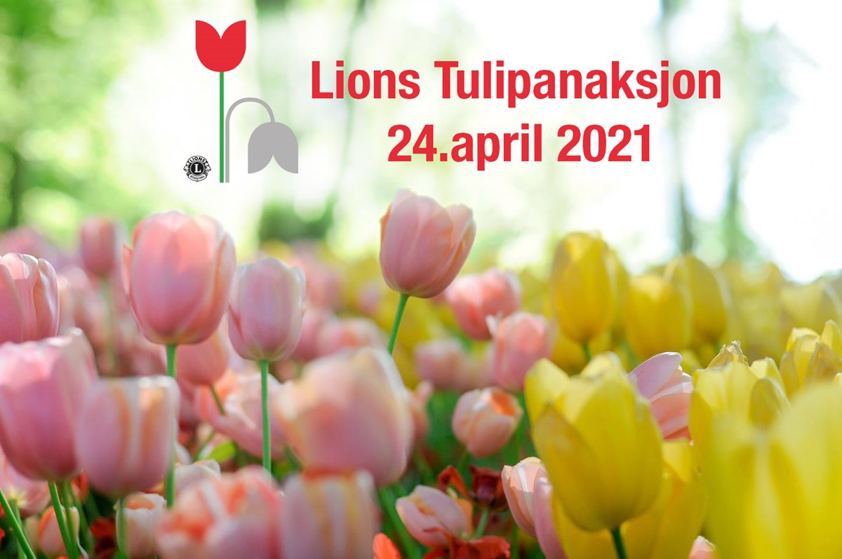 Tulipanaksjonen 2021 er gjennomført